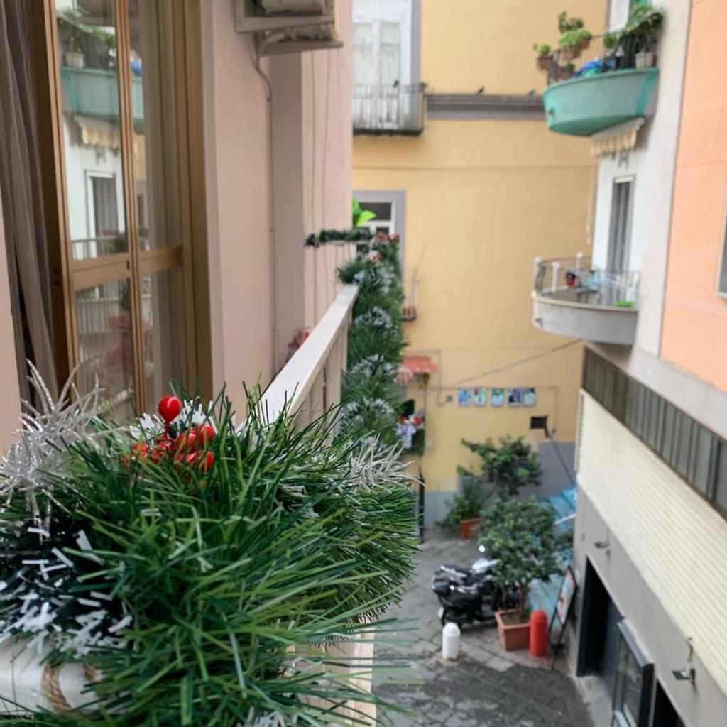 Crystal * Napoli